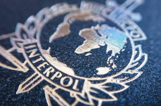 Qué es Interpol y cómo funciona: mitos y realidad