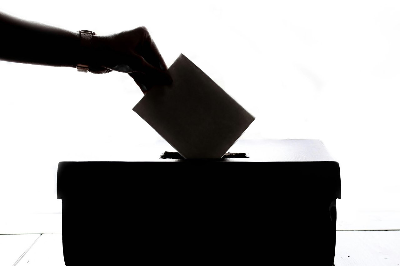 Election Interference: How States Meddle in Votes